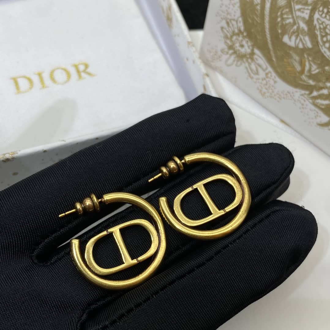 Chr1st1an D10r Earring Copy