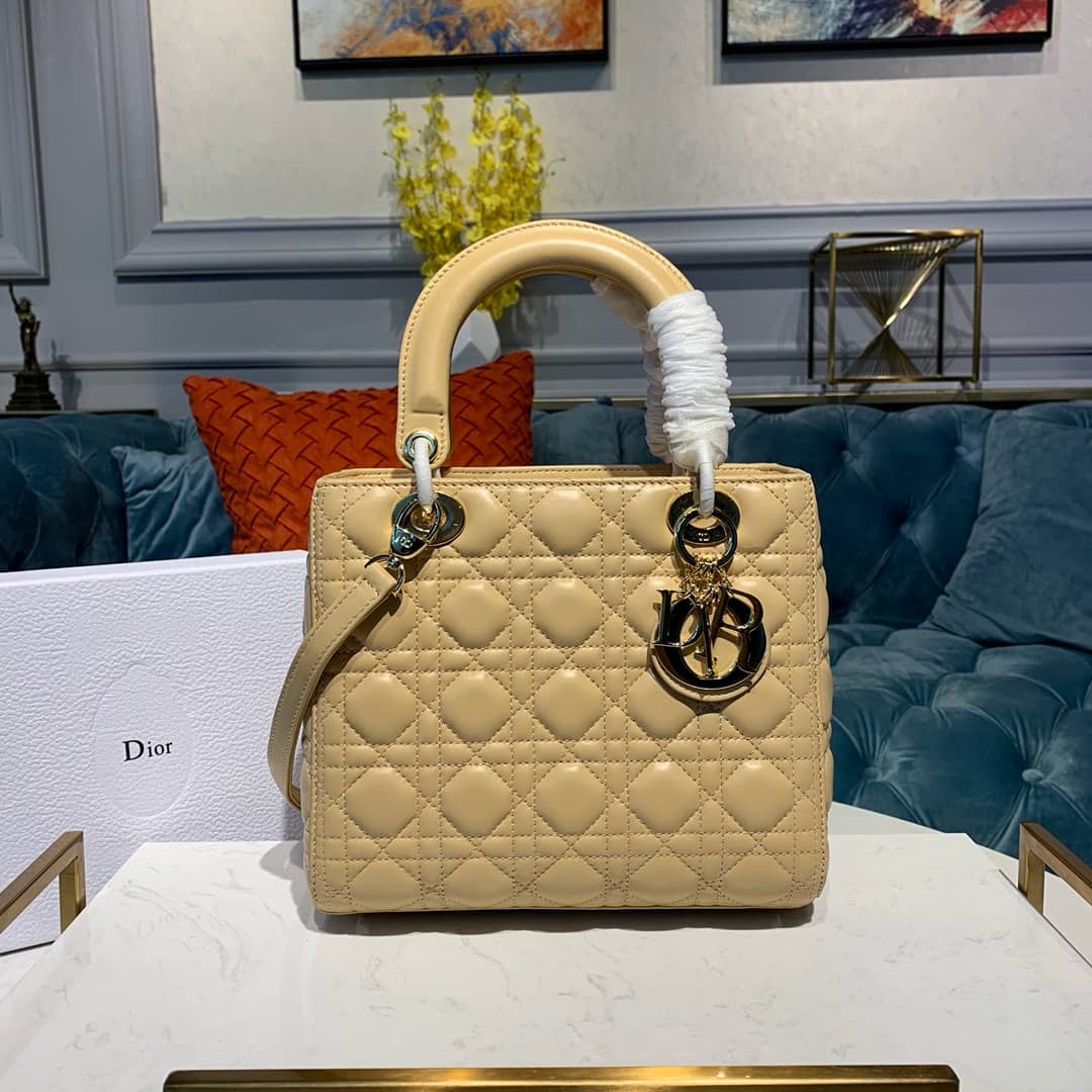 Chr1st1an D10r Lady D10r 24CM Replica Bag