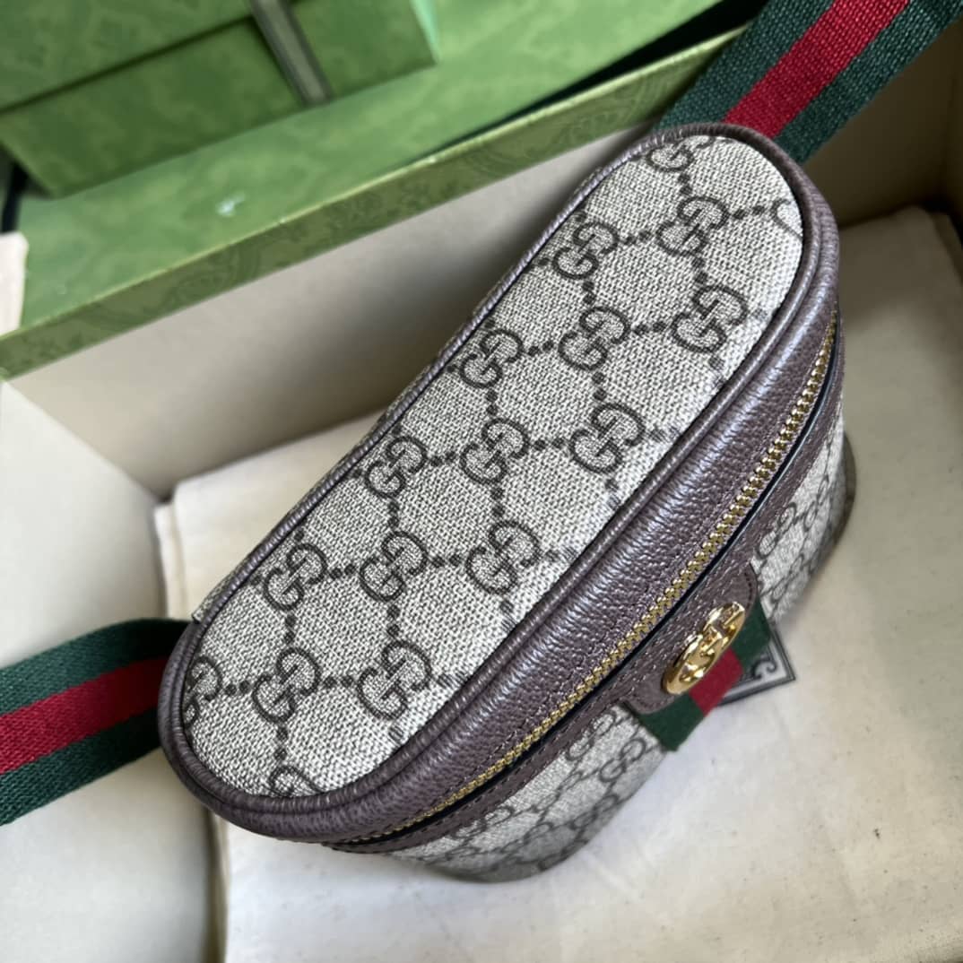 Best Replica Gvc*1 Ophidia With Web 699765 Replica Belt Bag(ColaReps)