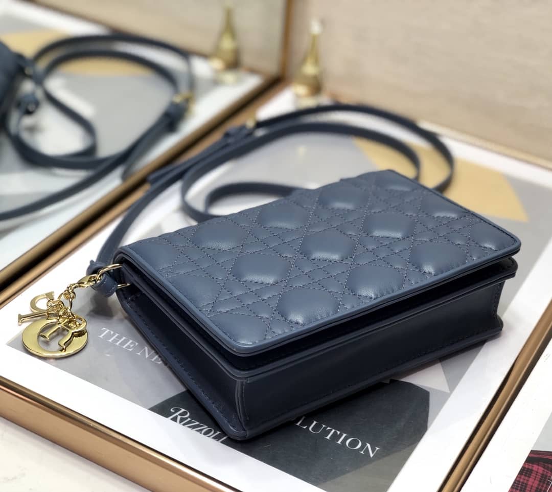 Lady D10r Dupe Cannage Calfskin Pouch