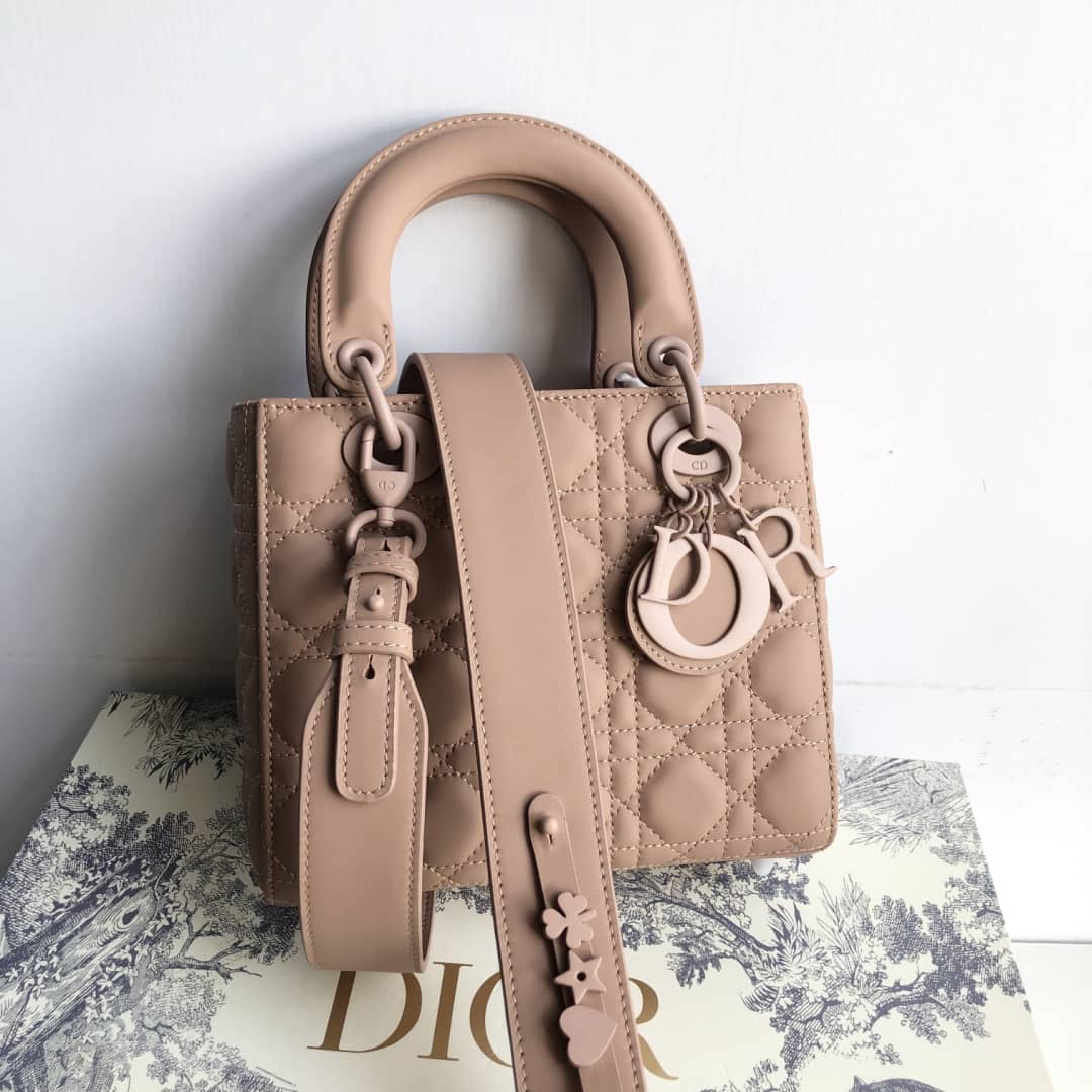 Chr1st1an D10r Lady D10r 20CM Replica Bag