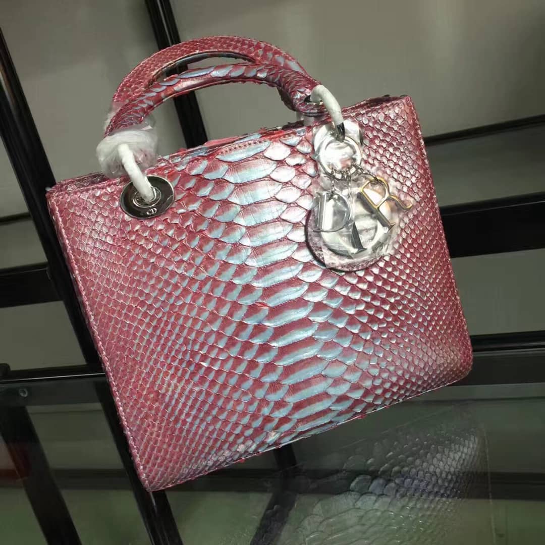 Chr1st1an D10r Lady D10r 24CM Replica Bag
