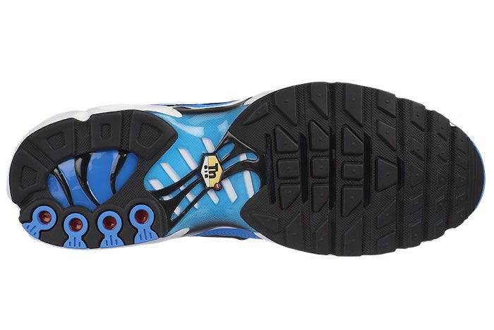 Air Max Plus  University Blue Black  852630-410