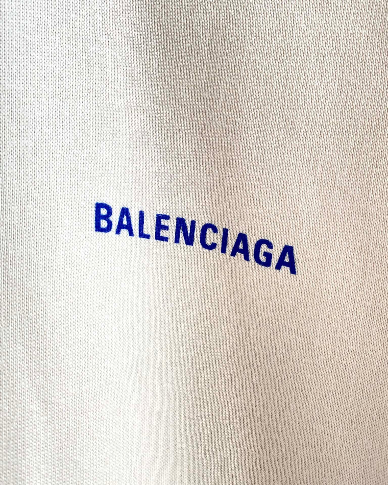 Ba1en*iaga Hoodie