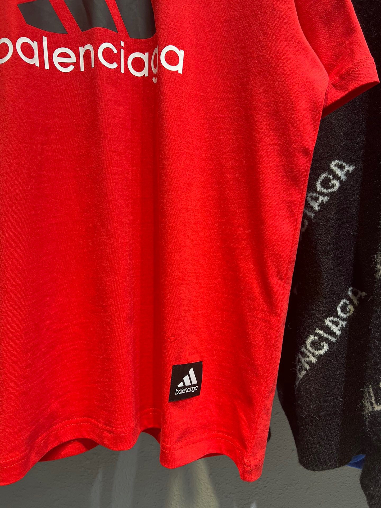 Ba1en*iaga T-shirt