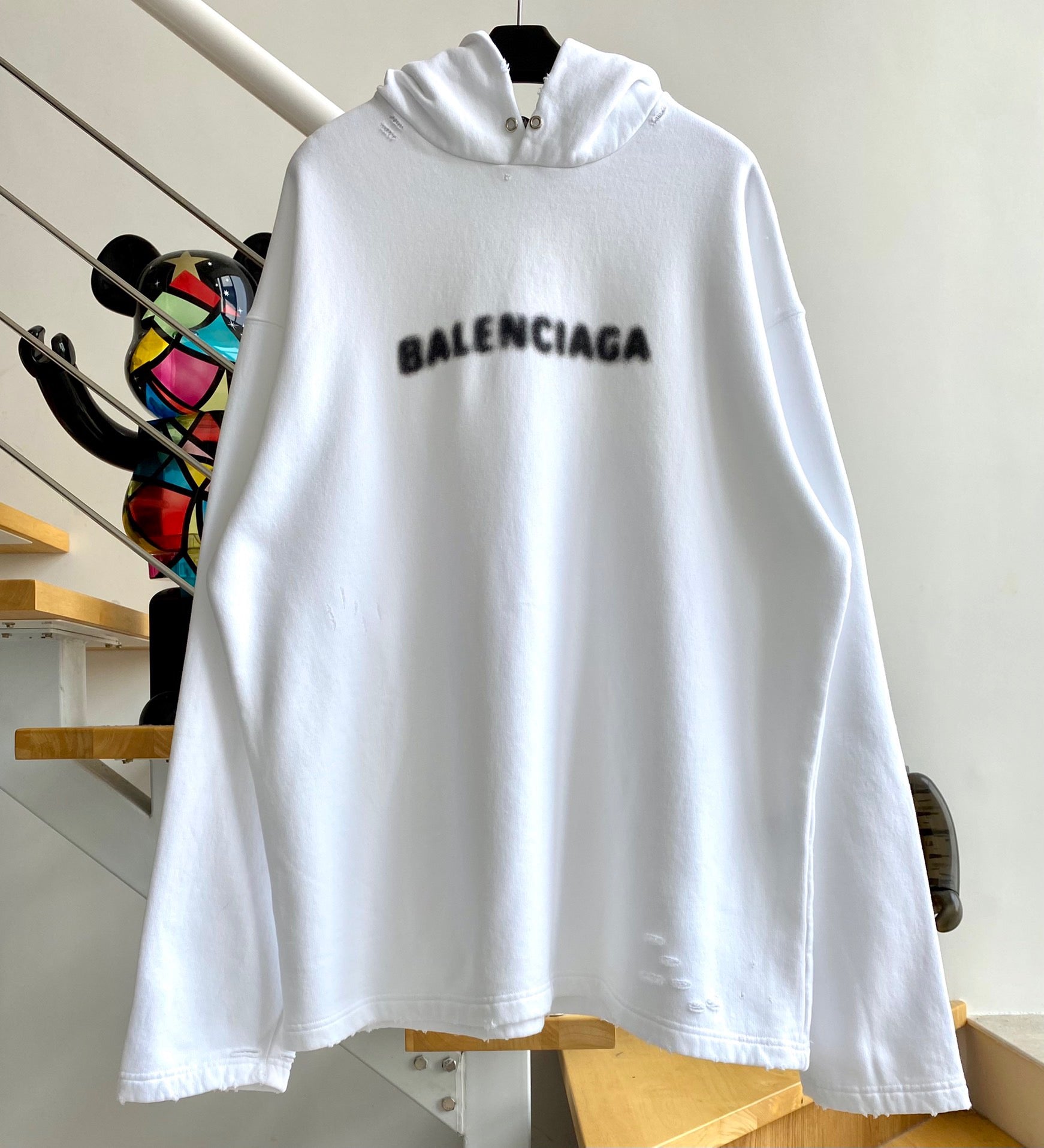 Ba1en*iaga Hoodie