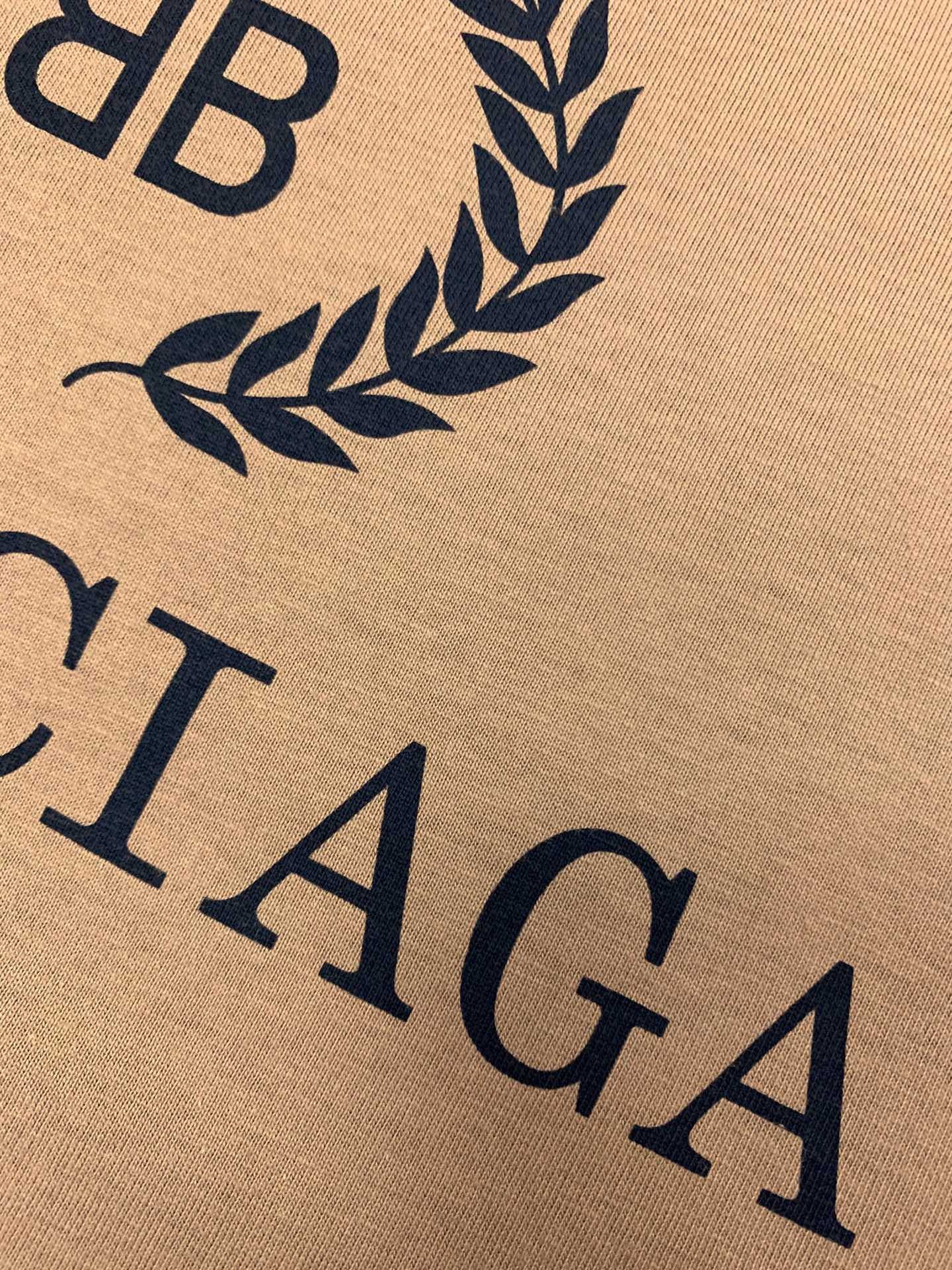 Ba1en*iaga T-shirt