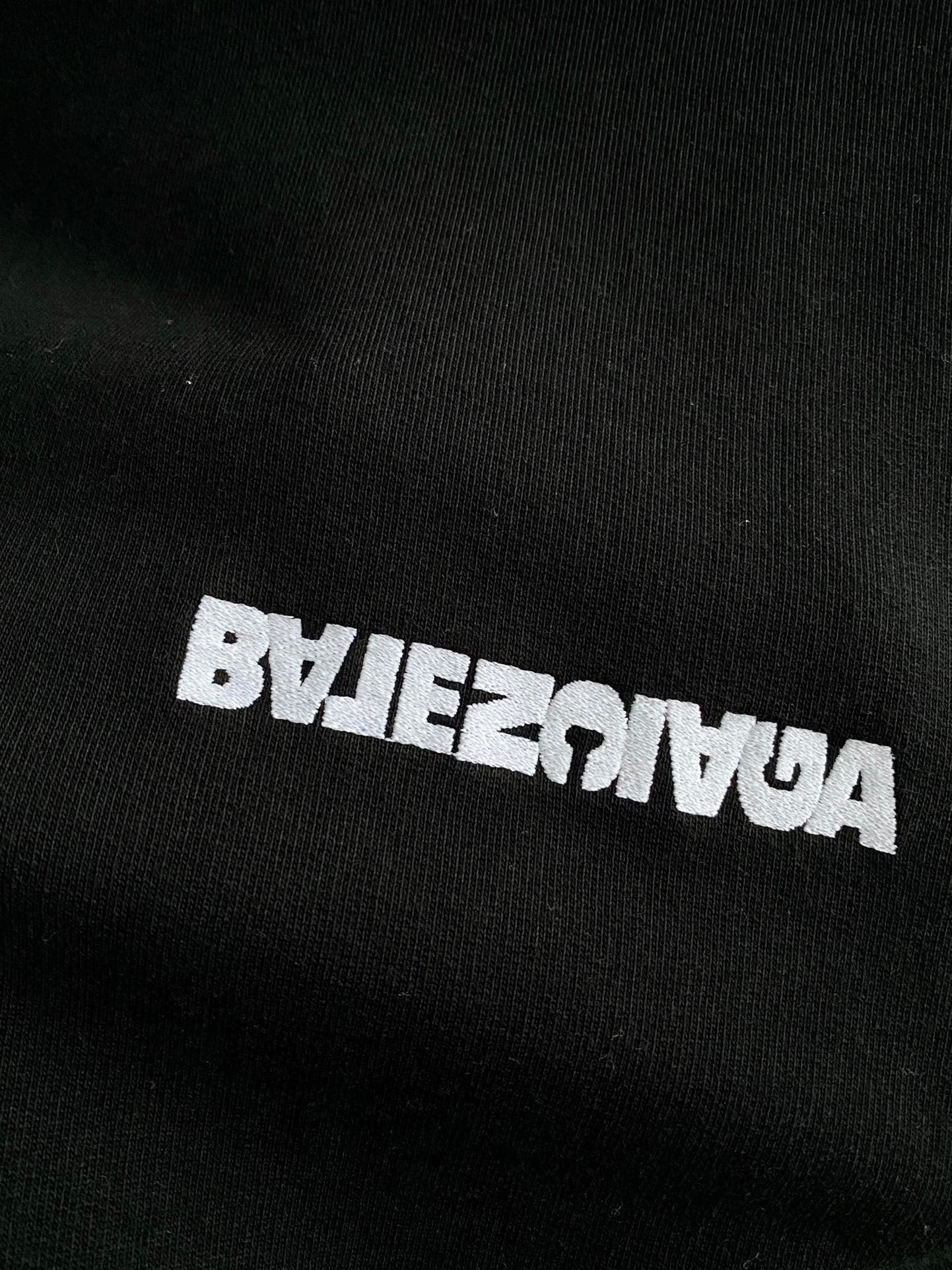 Ba1en*iaga Hoodie