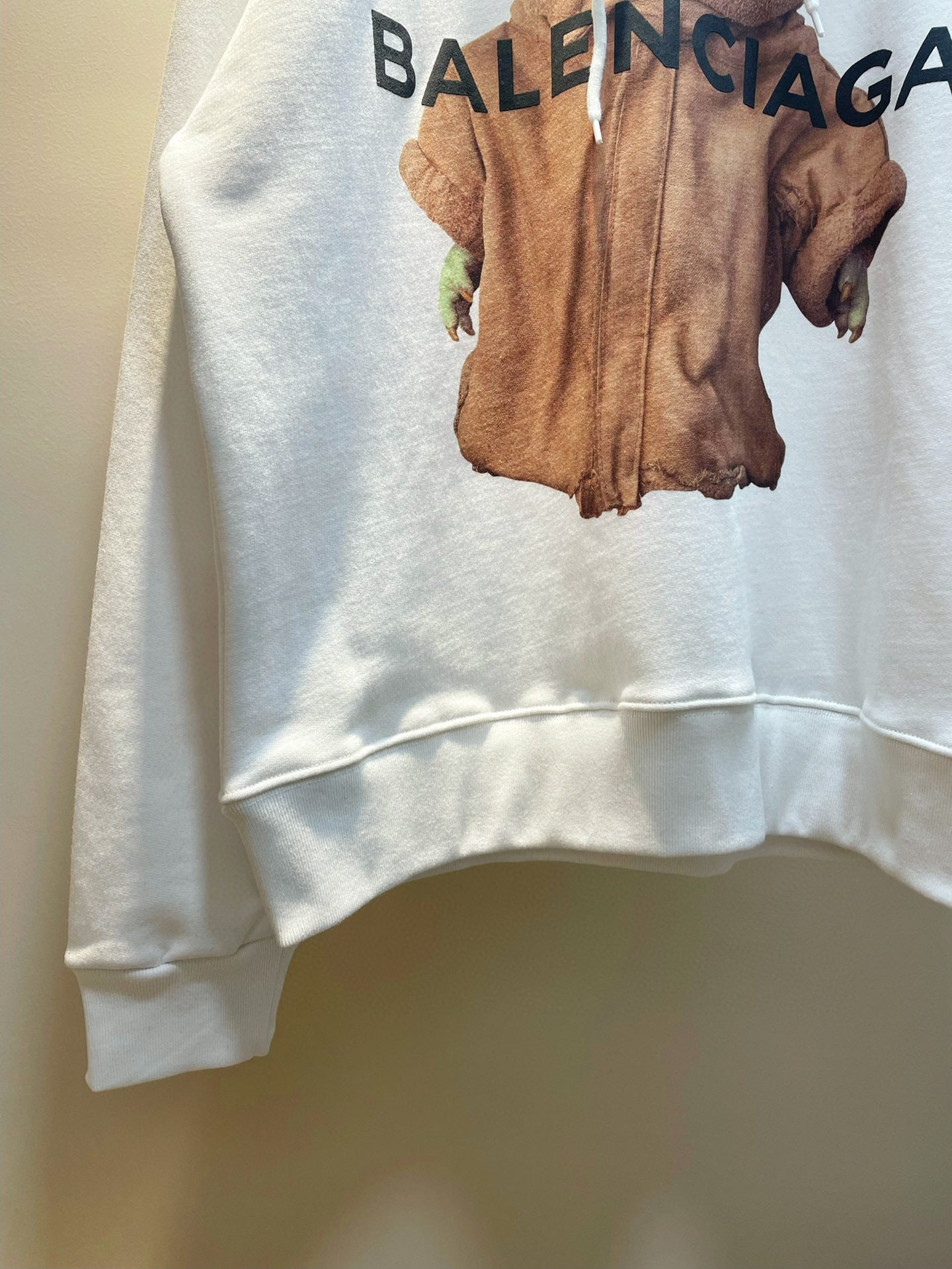 Ba1en*iaga Hoodie