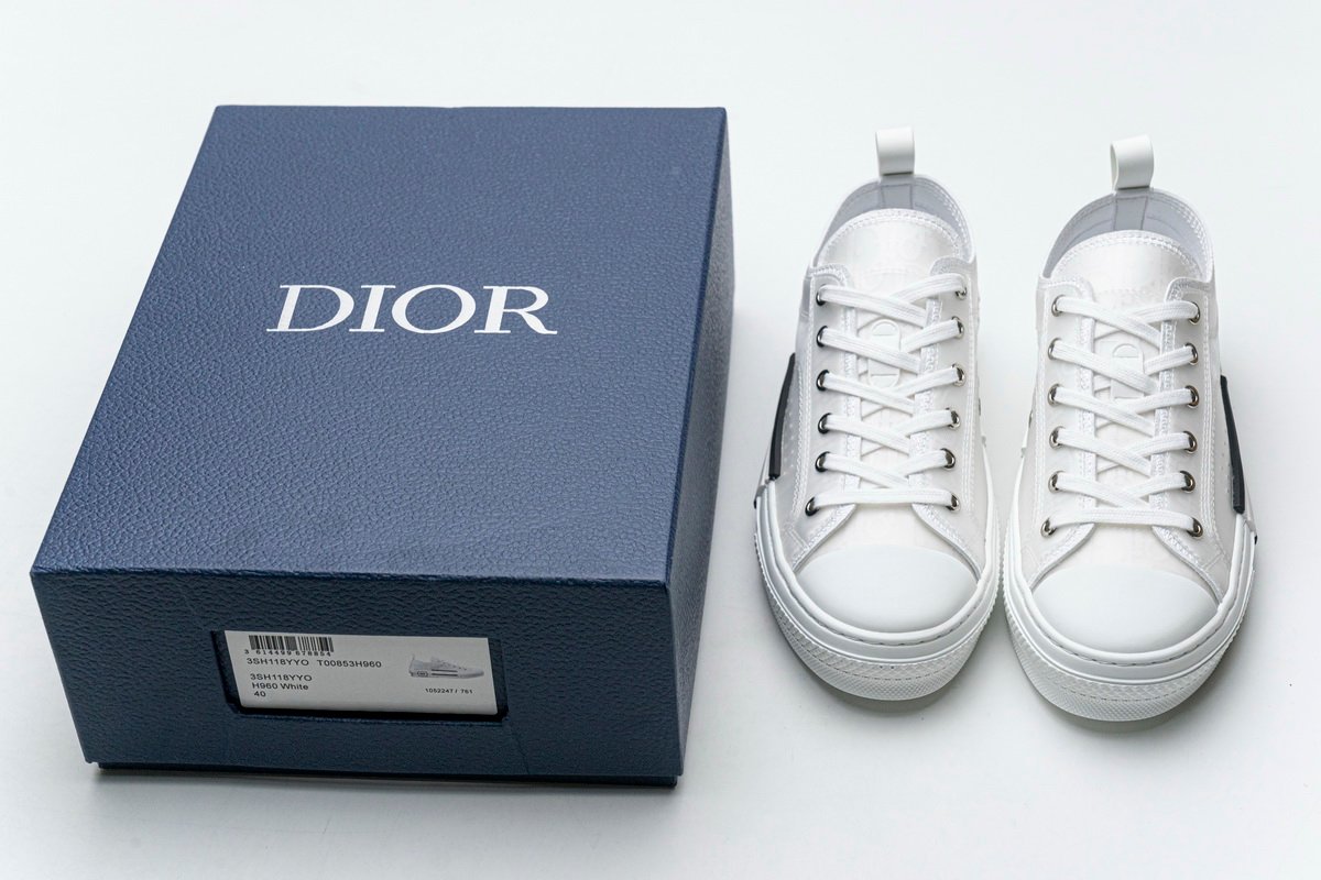 Converse Dupes D10r B23 LOW SNEAKER White D10r Oblique Canvas