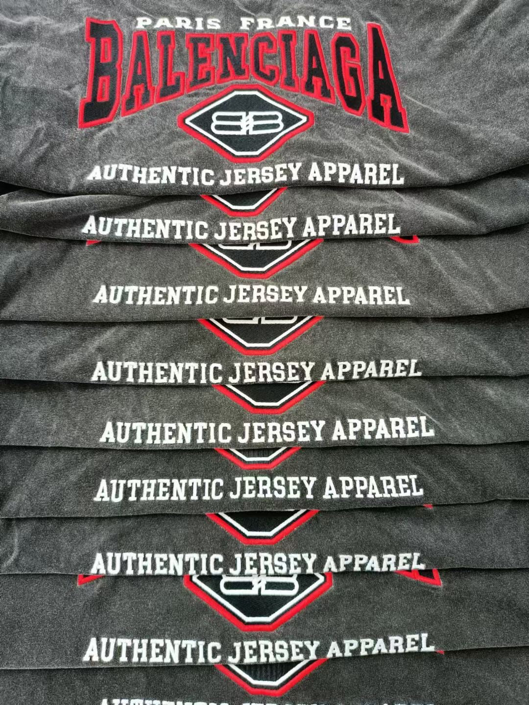 Ba1en*iaga T-shirt
