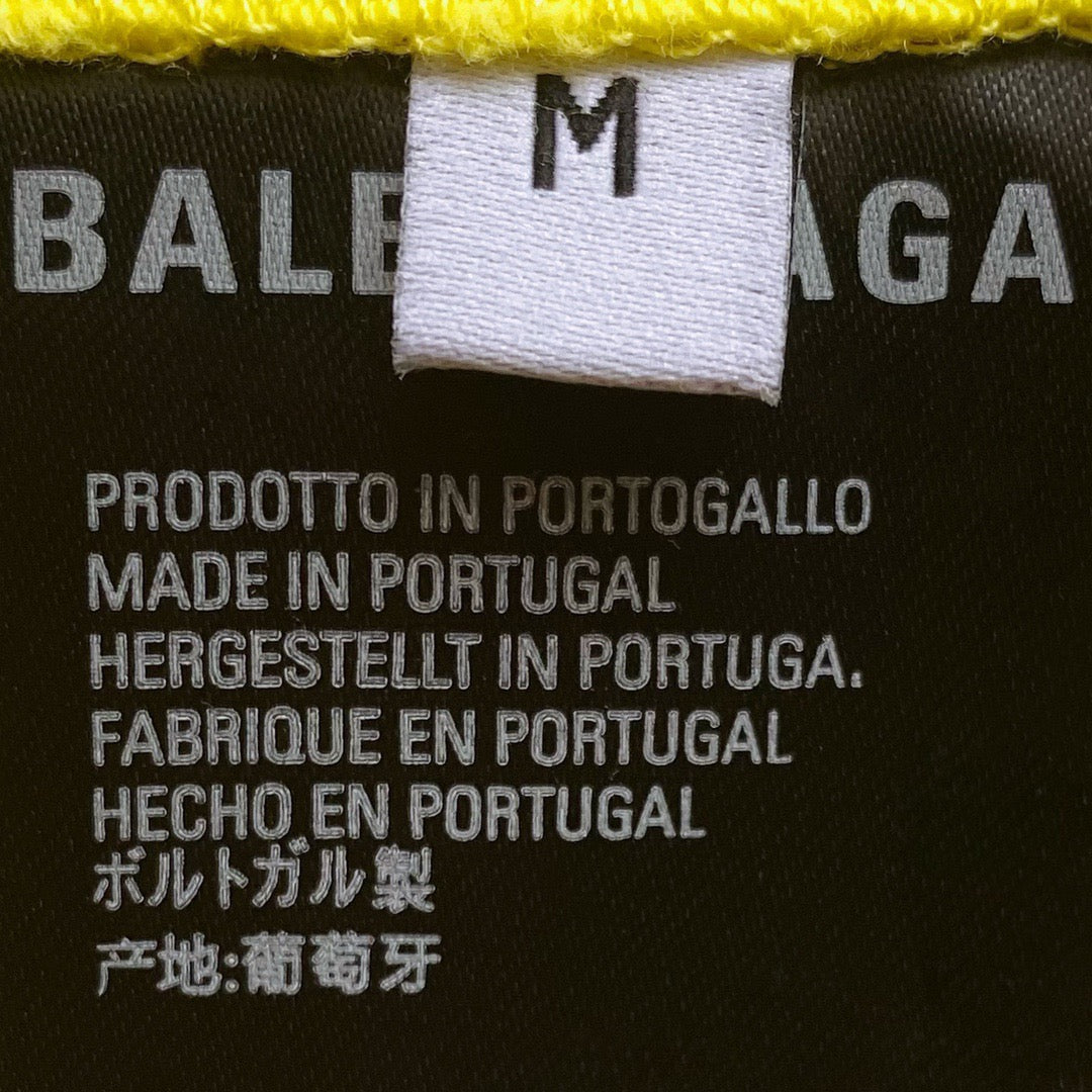 Ba1en*iaga T-shirt