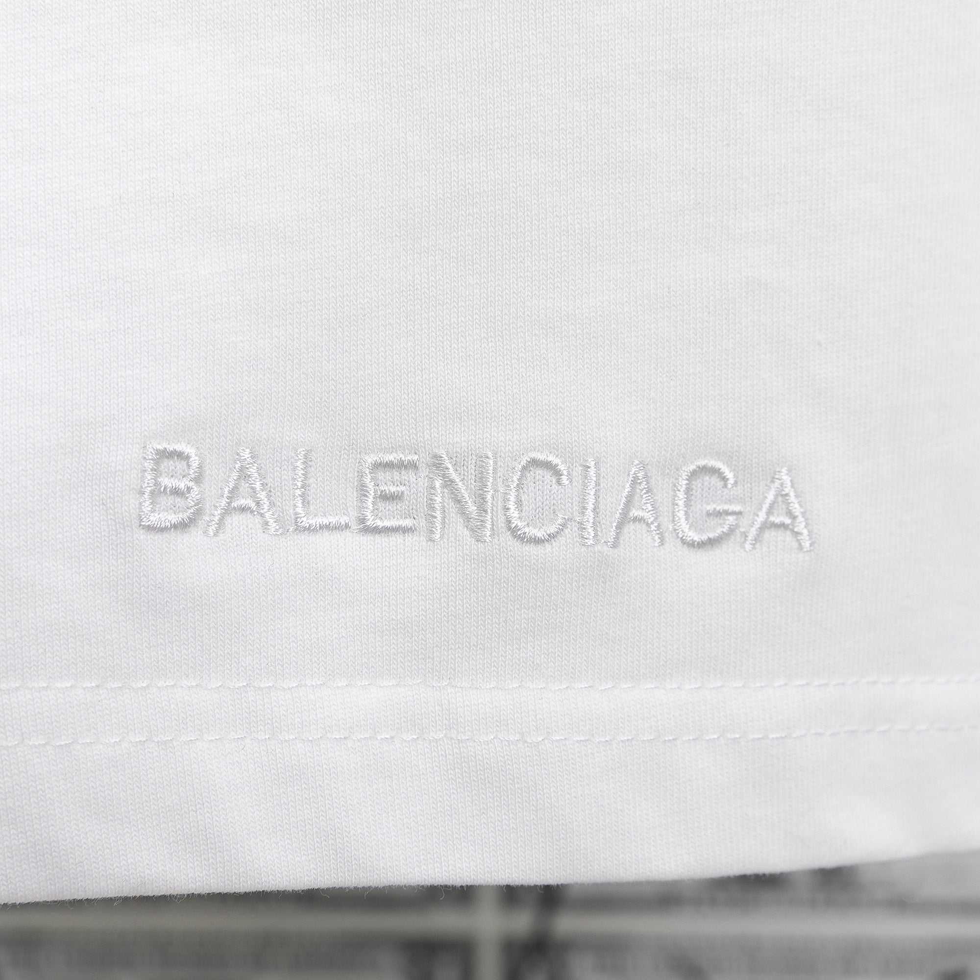 Ba1en*iaga T-shirt