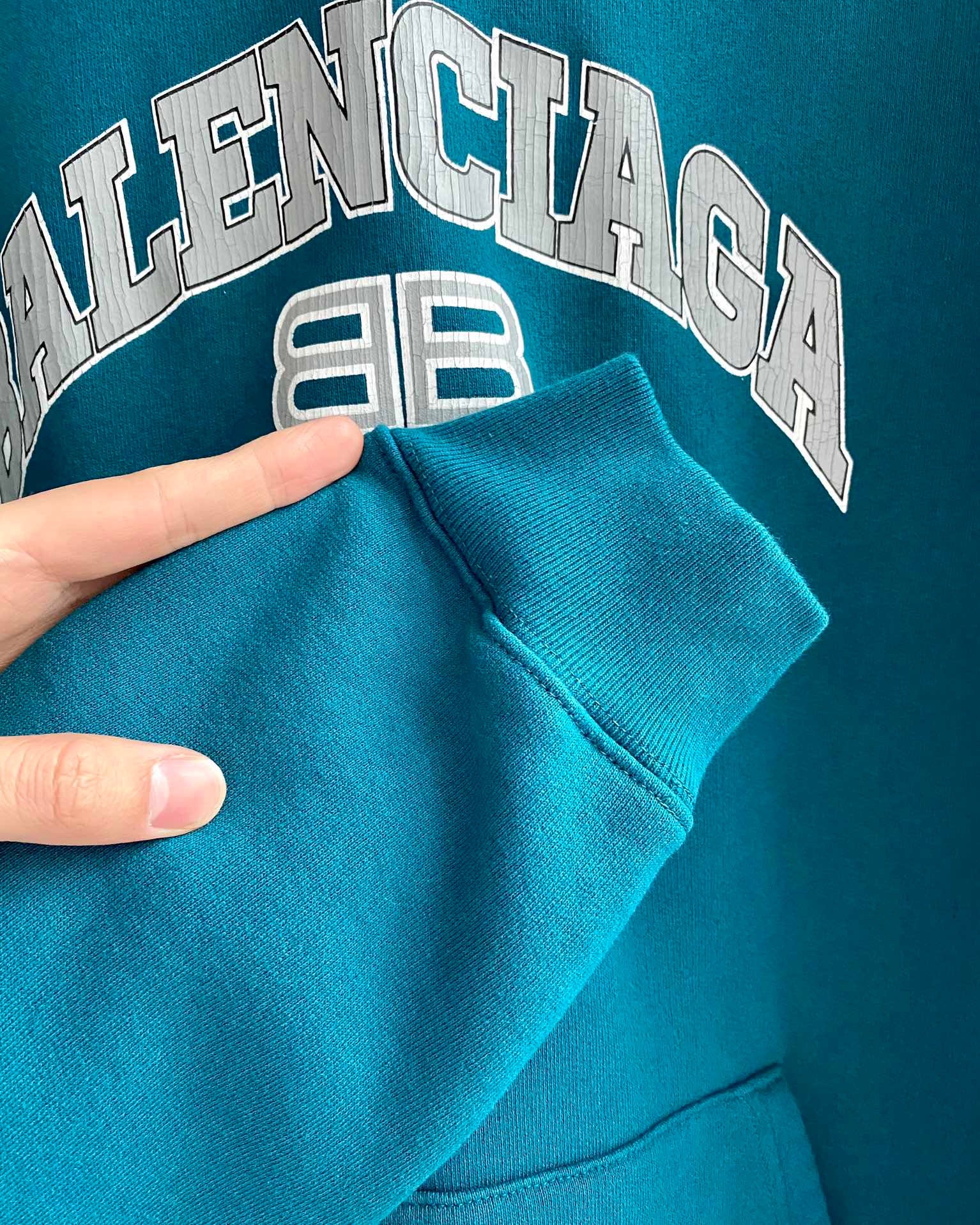 Ba1en*iaga Hoodie